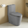 1.1/1.60 GPF Dual-Flush One Piece Toilet, Water-Saving Elongated Comfort Height Floor Mounted, Soft Close 1000 Gram Map Flushing Score Toilet