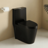 1.1/1.60 GPF Dual-Flush One Piece Toilet, Water-Saving Elongated Comfort Height Floor Mounted, Soft Close Seat, 1000 Gram Map Flushing Score Toilet