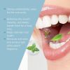 Oralhoe Secret Mint Oral Care Air Fresher Spray, Remove Coffee Stains And Whiten For Healthy Teeth