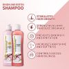 Onion Biotin Rosemary Hair Care Set: Nourishes Hair Roots Tones Scalp Enhances Luster Cleanses 248ml